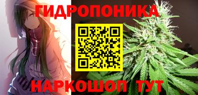 дмт Можга
